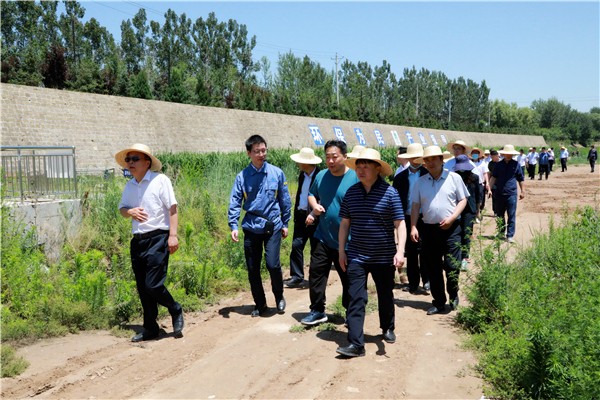 陜西環保集團復工復產促增長項目觀摩會議與會人員走進環保保隆生態三秦在延在銅項目